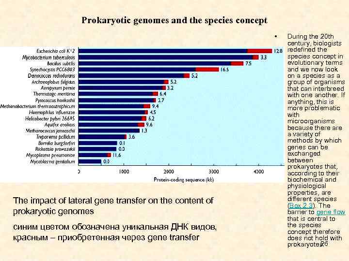 Prokaryotic genomes and the species concept • The impact of lateral gene transfer on