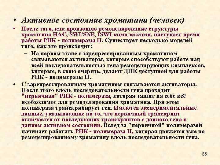  • Активное состояние хроматина (человек) • После того, как произошло ремоделирование структуры хроматина