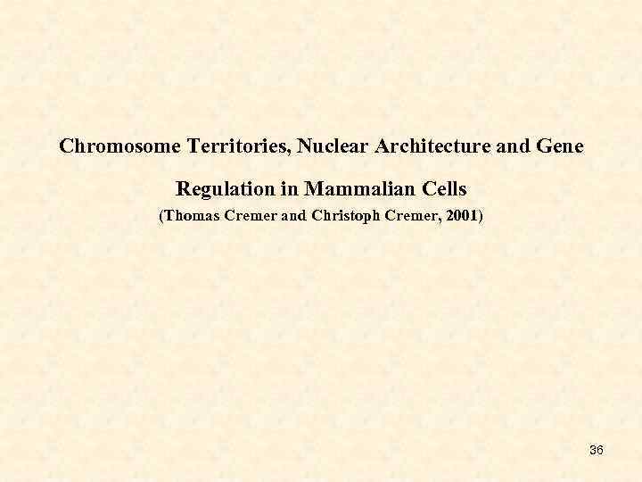 Chromosome Territories, Nuclear Architecture and Gene Regulation in Mammalian Cells (Thomas Cremer and Christoph