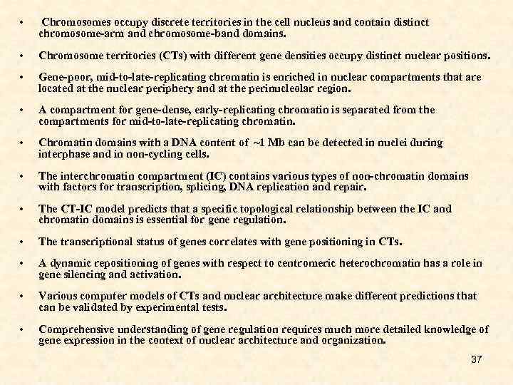  • • • Chromosomes occupy discrete territories in the cell nucleus and contain