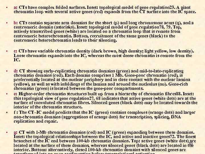  • a: CTs have complex folded surfaces. Inset: topological model of gene regulation