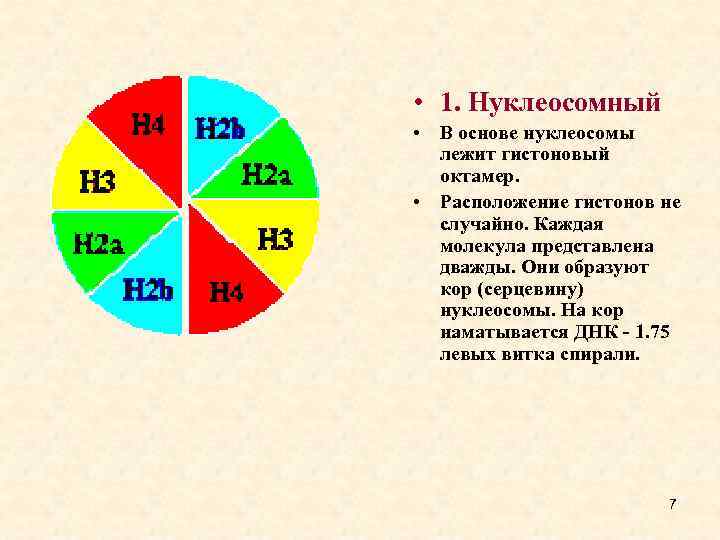  • 1. Нуклеосомный • В основе нуклеосомы лежит гистоновый октамер. • Расположение гистонов