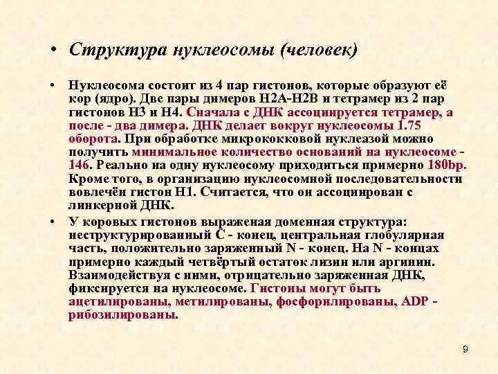  • Структура нуклеосомы (человек) • Нуклеосома состоит из 4 пар гистонов, которые образуют