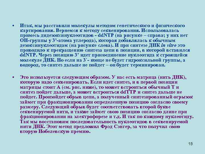  • Итак, мы расставили молекулы методом генетического и физического картирования. Вернемся к методу