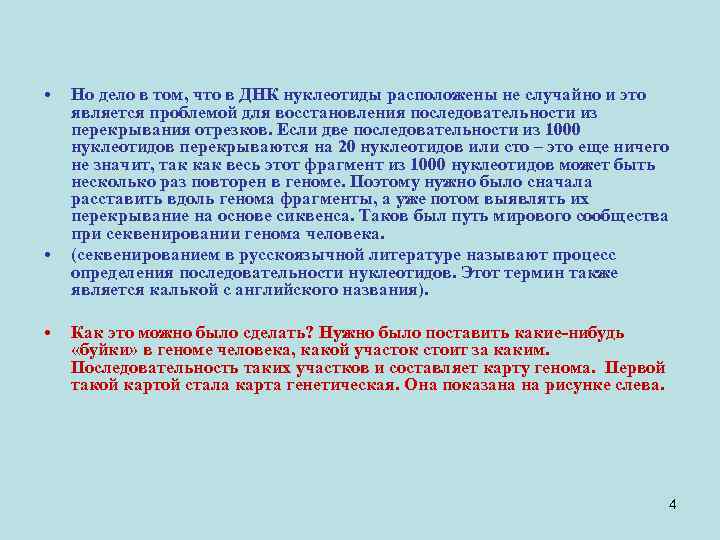  • • • Но дело в том, что в ДНК нуклеотиды расположены не