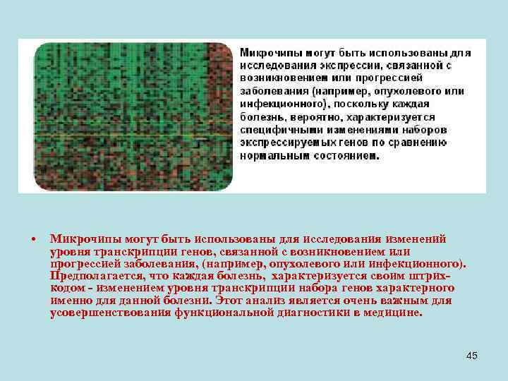  • Микрочипы могут быть использованы для исследования изменений уровня транскрипции генов, связанной с