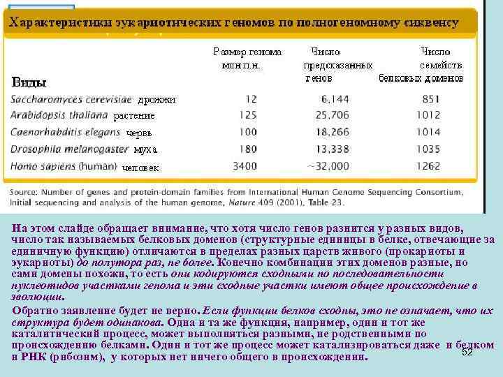 На этом слайде обращает внимание, что хотя число генов разнится у разных видов, число