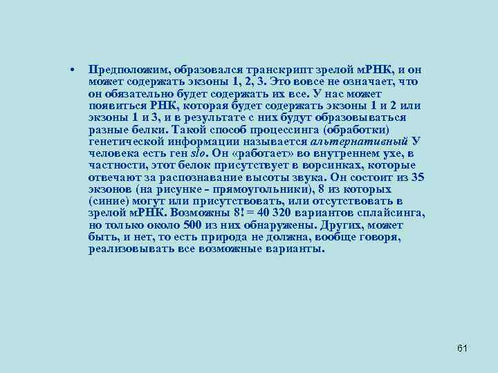  • Предположим, образовался транскрипт зрелой м. РНК, и он может содержать экзоны 1,