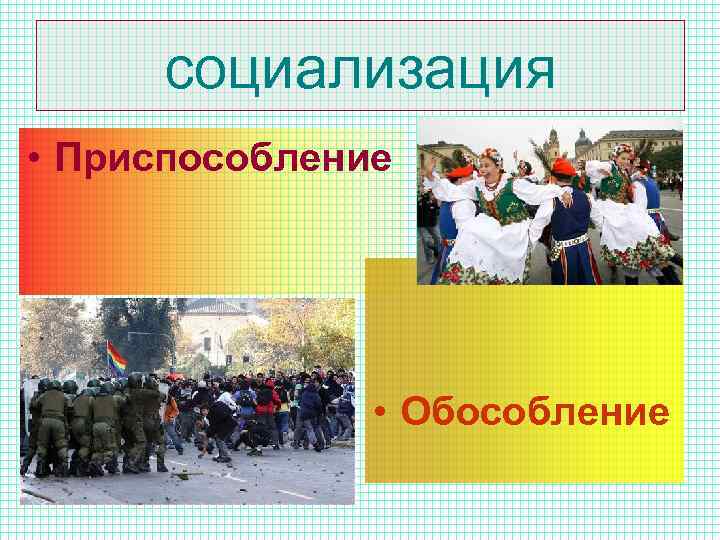 социализация • Приспособление • Обособление 