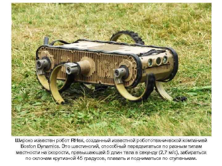 Широко известен робот RHex, созданный известной робототехнической компанией Boston Dynamics. Это шестиногий, способный передвигаться