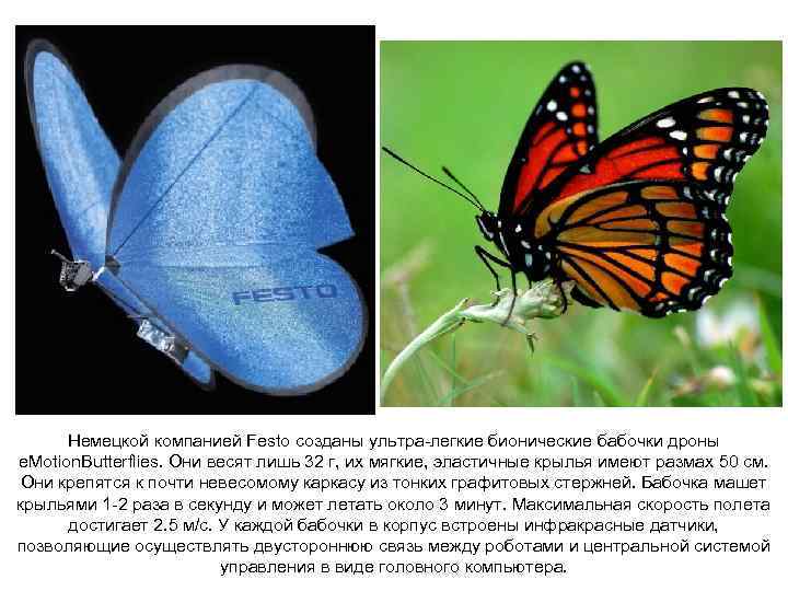 Немецкой компанией Festo созданы ультра-легкие бионические бабочки дроны e. Motion. Butterflies. Они весят лишь
