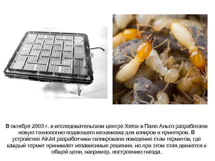 В октябре 2003 г. в исследовательском центре Xerox в Пало Альто разработали новую технологию
