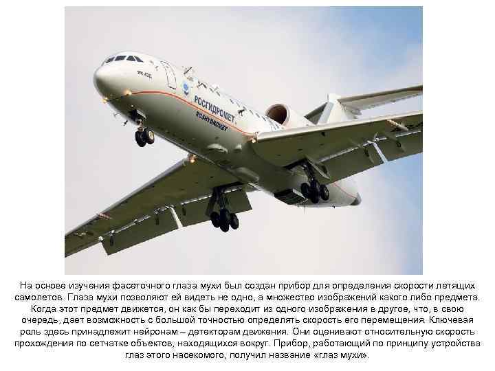 На основе изучения фасеточного глаза мухи был создан прибор для определения скорости летящих самолетов.