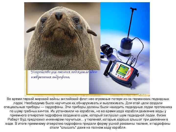 Во время первой мировой войны английский флот нес огромные потери из-за германских подводных лодок.