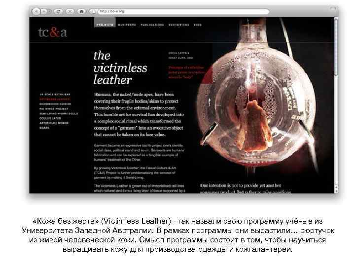  «Кожа без жертв» (Victimless Leather) - так назвали свою программу учёные из Университета