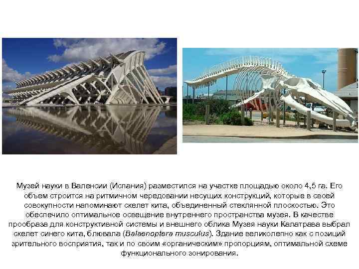 Музей науки в Валенсии (Испания) разместился на участке площадью около 4, 5 га. Его
