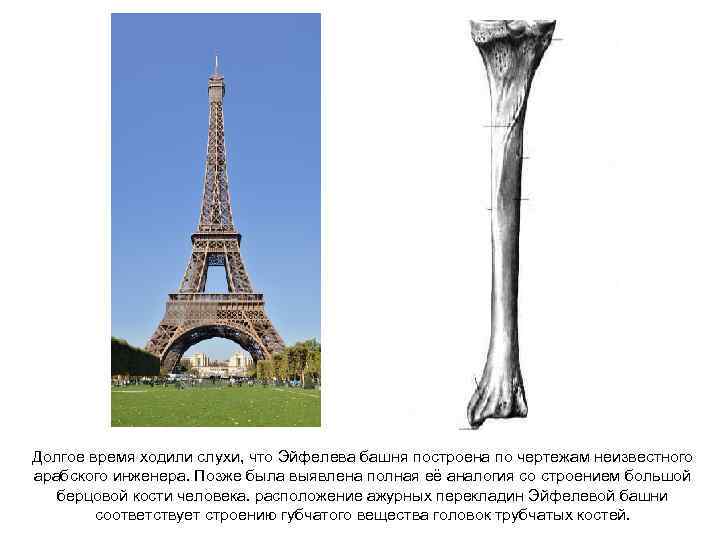 Долгое время ходили слухи, что Эйфелева башня построена по чертежам неизвестного арабского инженера. Позже