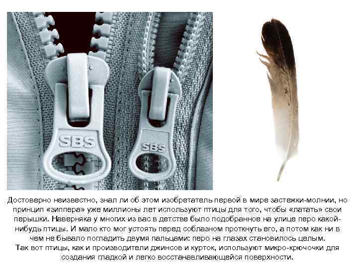 Достоверно неизвестно, знал ли об этом изобретатель первой в мире застежки-молнии, но принцип «зиппера»
