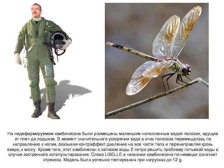 На недеформируемом комбинезоне были размещены маленькие наполненные водой полоски, идущие от плеч до лодыжек.