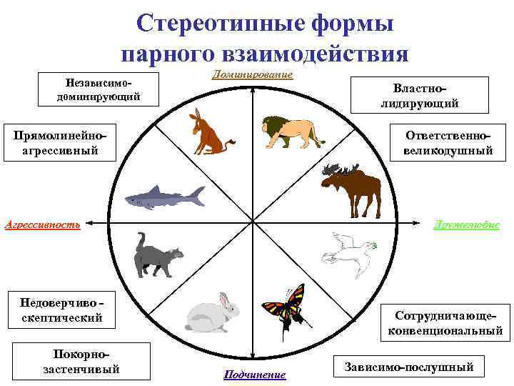 Стереотипные формы парного взаимодействия Независимодоминирующий Доминирование Прямолинейноагрессивный Ответственновеликодушный Агрессивность Дружелюбие Недоверчиво скептический Покорнозастенчивый Властнолидирующий