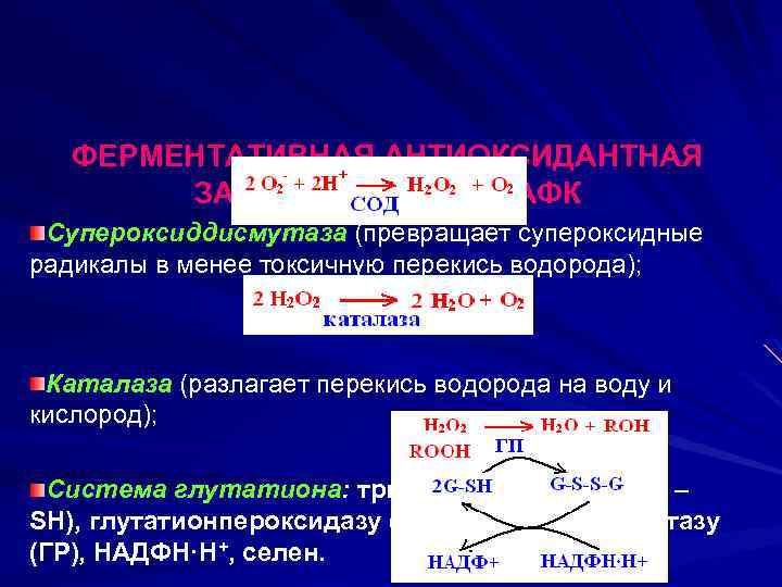 ФЕРМЕНТАТИВНАЯ АНТИОКСИДАНТНАЯ ЗАЩИТА КЛЕТКИ ОТ АФК Супероксиддисмутаза (превращает супероксидные радикалы в менее токсичную перекись