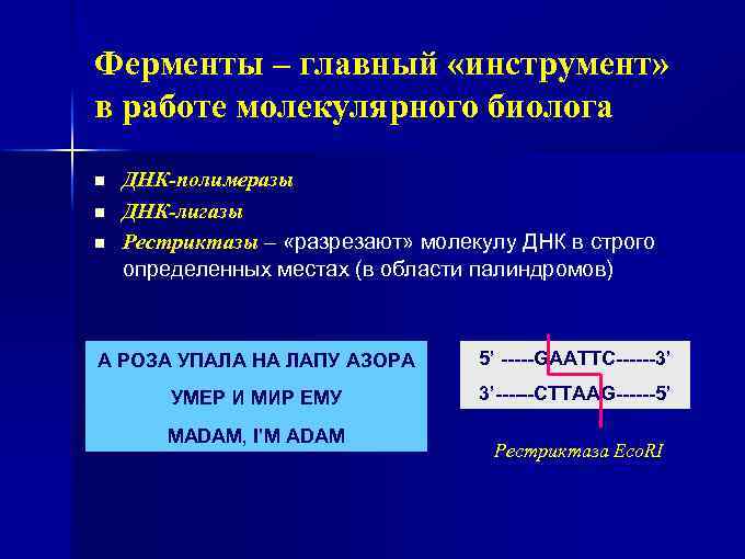 Ферменты – главный «инструмент» в работе молекулярного биолога n n n ДНК-полимеразы ДНК-лигазы Рестриктазы