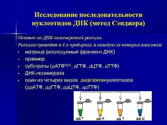 Исследование последовательности нуклеотидов ДНК (метод Сэнджера) Основан на ДНК-полимеразной реакции. Реакцию проводят в 4