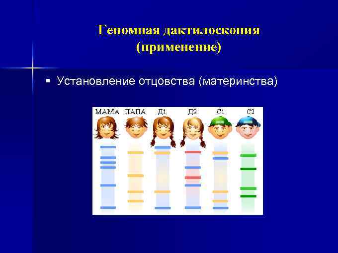 Трансляция мет