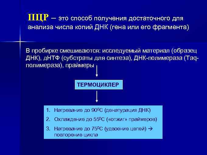 ПЦР – это способ получения достаточного для анализа числа копий ДНК (гена или его