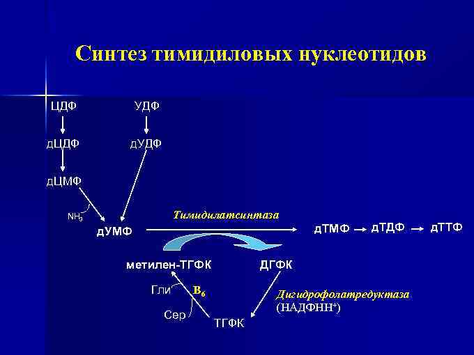 Синтез нуклеотидов. Синтез тимидиловых нуклеотидов биохимия. Синтез дезокситимидинмонофосфат. Синтез ТГФК. Тимидиловый нуклеотид Синтез.