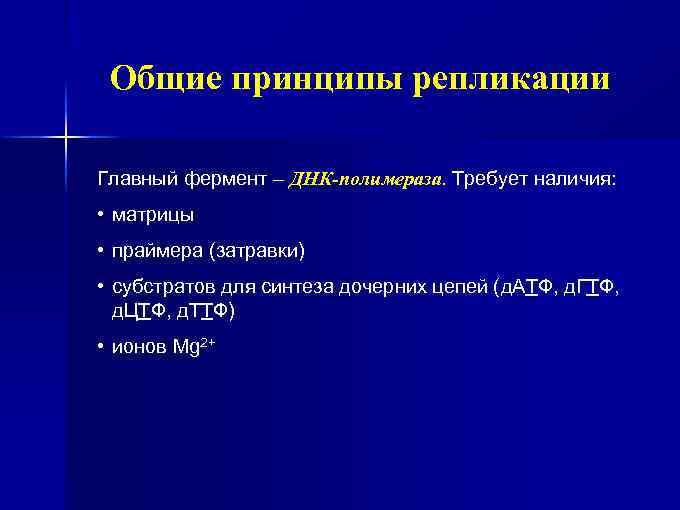 Общие принципы репликации Главный фермент – ДНК-полимераза. Требует наличия: • матрицы • праймера (затравки)