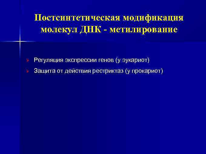 Постсинтетическая модификация молекул ДНК - метилирование Ø Регуляция экспрессии генов (у эукариот) Ø Защита