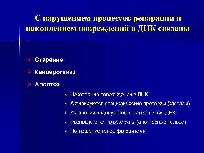 C нарушением процессов репарации и накоплением повреждений в ДНК связаны Ø Старение Ø Канцерогенез