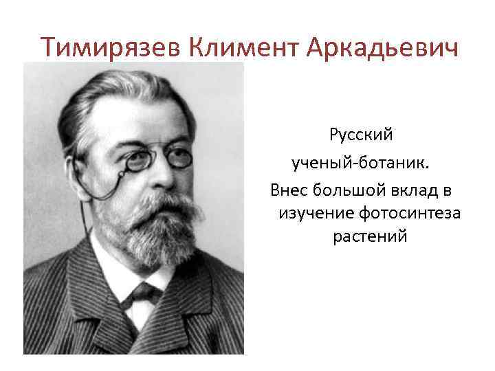 Ученый ботаник дед блока 7 букв сканворд