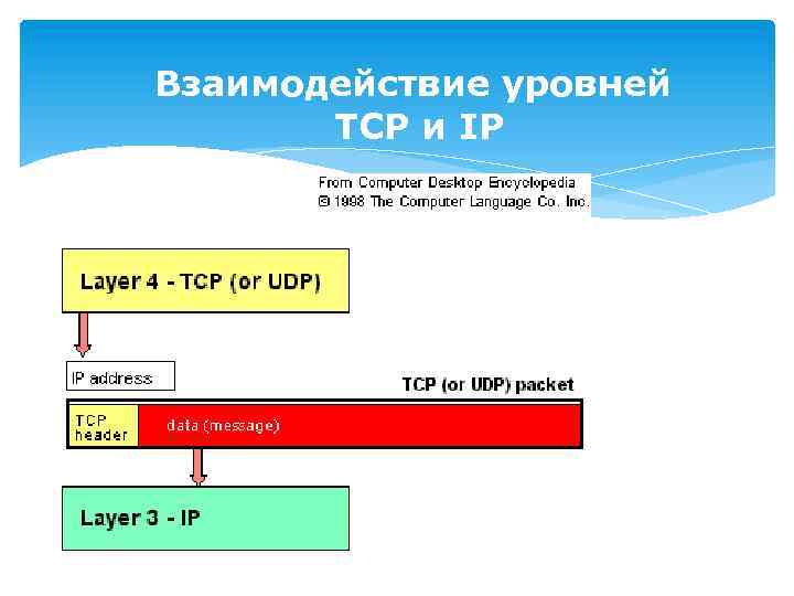 Взаимодействие уровней TCP и IP 