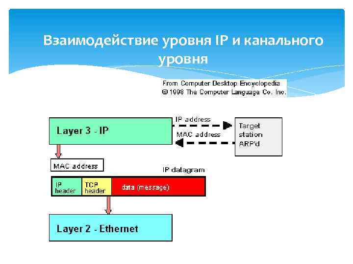 На каком уровне четырехуровневой модели стека протоколов tcp ip работает служба dns