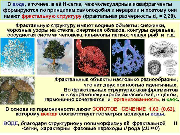 В воде, а точнее, в её Н-сетке, межмолекулярные аквафрагменты формируются по принципам самоподобия и