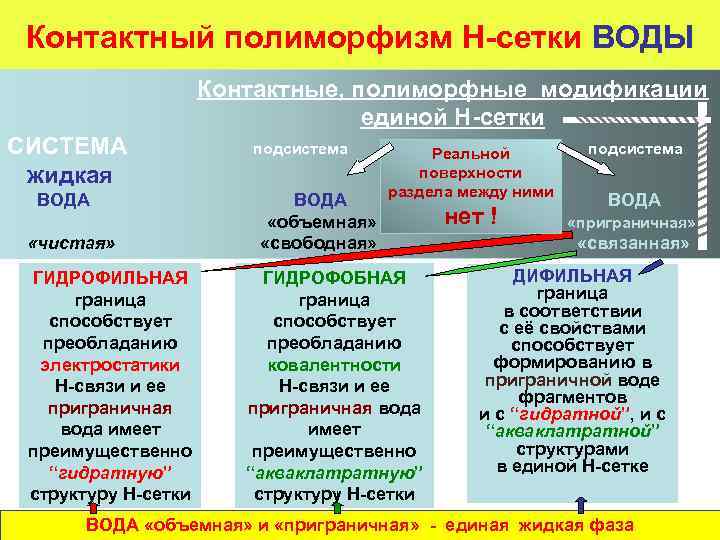 Контактный полиморфизм Н-сетки ВОДЫ Контактные, полиморфные модификации единой Н-сетки СИСТЕМА жидкая ВОДА «чистая» ГИДРОФИЛЬНАЯ