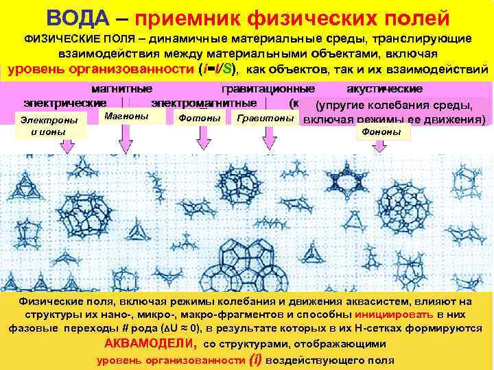 ВОДА – приемник физических полей ФИЗИЧЕСКИЕ ПОЛЯ – динамичные материальные среды, транслирующие взаимодействия между