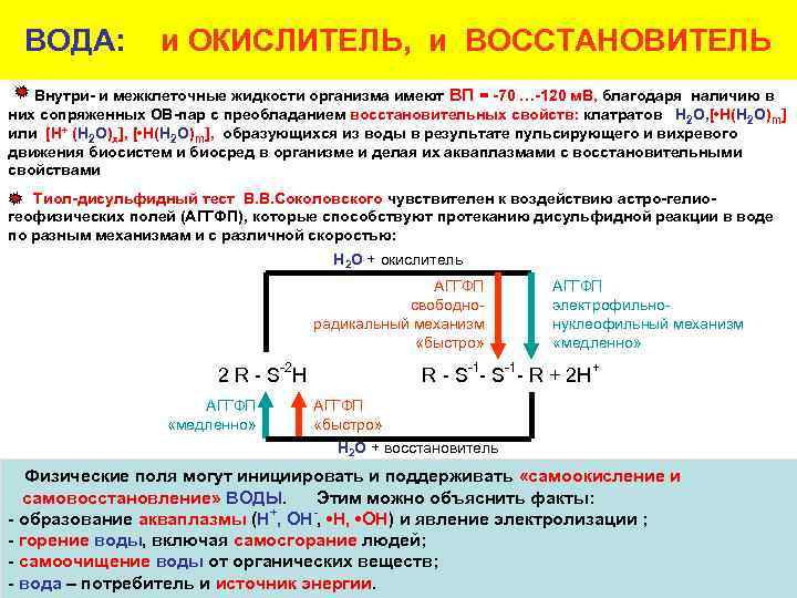 ВОДА: и ОКИСЛИТЕЛЬ, и ВОССТАНОВИТЕЛЬ Внутри- и межклеточные жидкости организма имеют ВП = -70