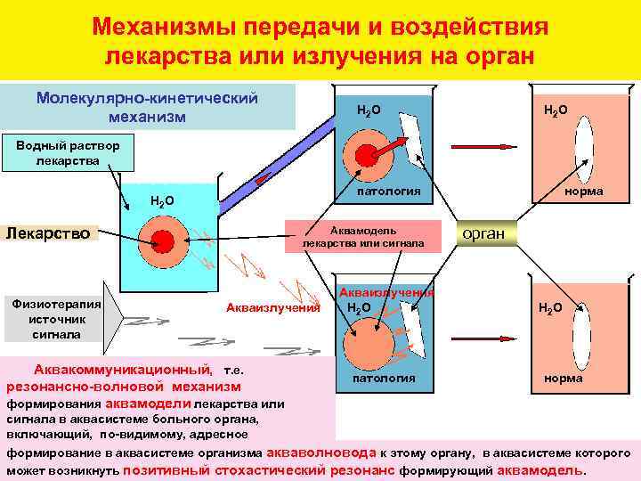 Механизмы передачи и воздействия лекарства или излучения на орган Молекулярно-кинетический механизм H 2 O