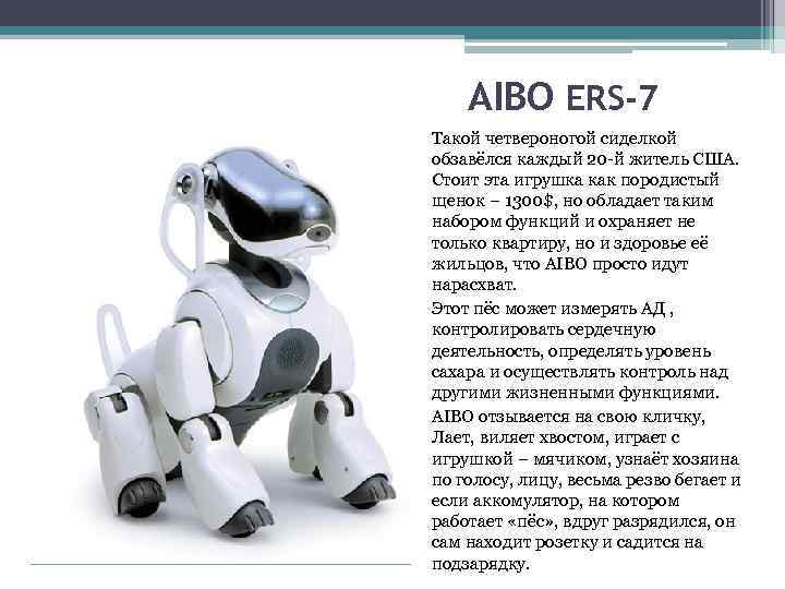 AIBO ERS-7 Такой четвероногой сиделкой обзавёлся каждый 20 -й житель США. Стоит эта игрушка