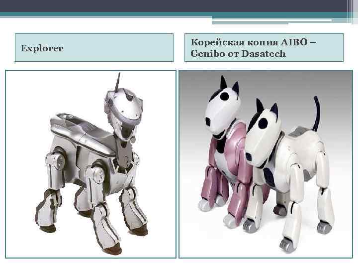 Explorer Корейская копия AIBO – Genibo от Dasatech 