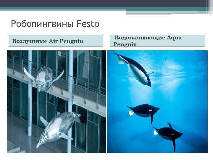 Робопингвины Festo Воздушные Air Penguin Водоплавающие Aqua Penguin 