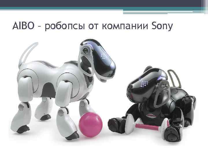 AIBO – робопсы от компании Sony 