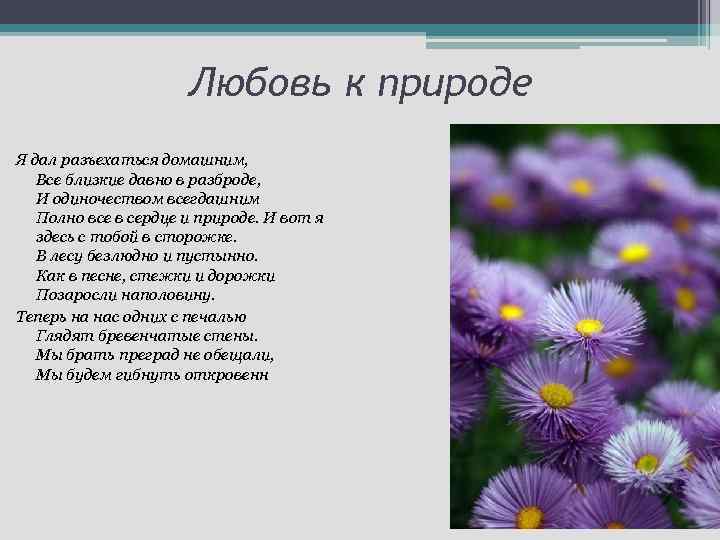 Любовь к природе Я дал разъехаться домашним, Все близкие давно в разброде, И одиночеством