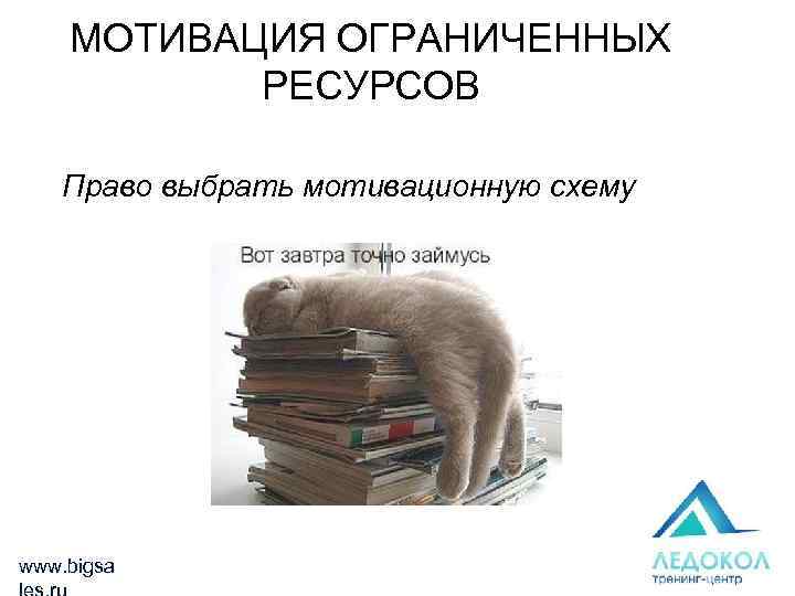 МОТИВАЦИЯ ОГРАНИЧЕННЫХ РЕСУРСОВ Право выбрать мотивационную схему www. bigsa 
