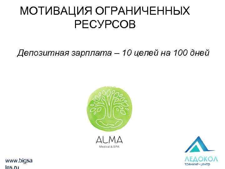 МОТИВАЦИЯ ОГРАНИЧЕННЫХ РЕСУРСОВ Депозитная зарплата – 10 целей на 100 дней www. bigsa 
