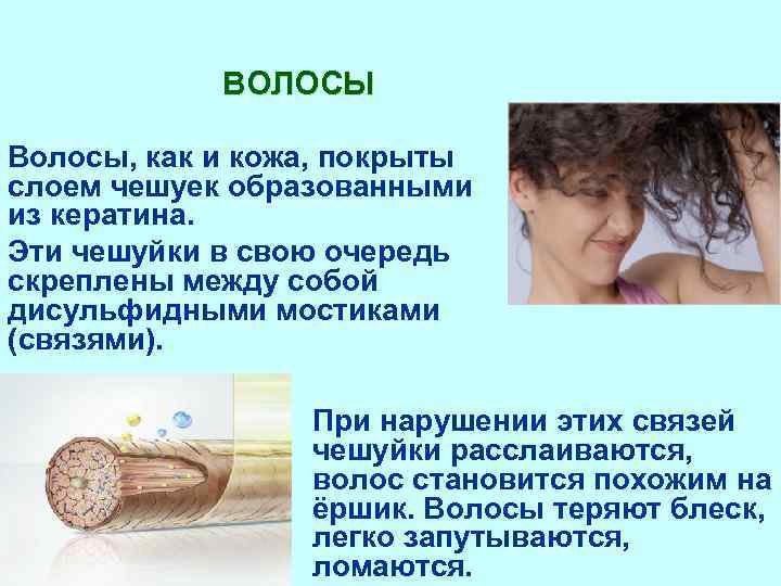 ВОЛОСЫ Волосы, как и кожа, покрыты слоем чешуек образованными из кератина. Эти чешуйки в
