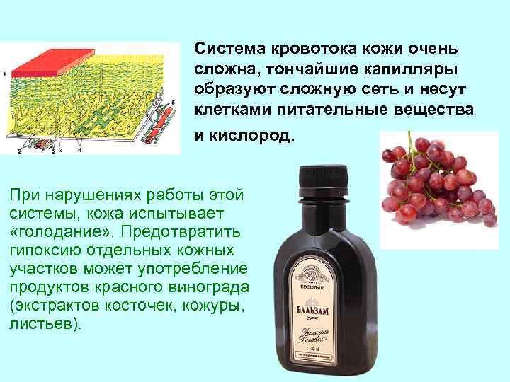 Система кровотока кожи очень сложна, тончайшие капилляры образуют сложную сеть и несут клетками питательные